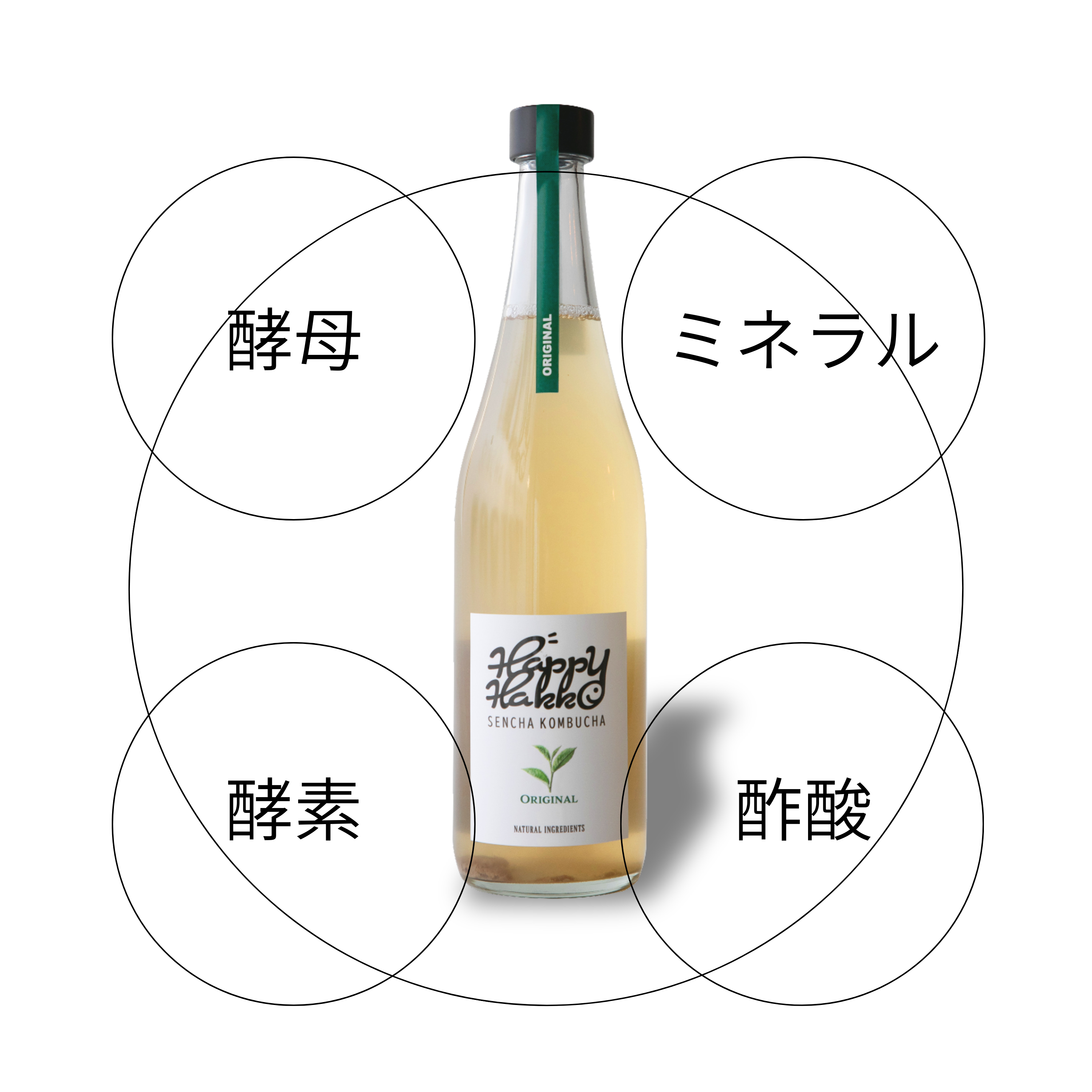 サブスク：1ヶ月腸活習慣3本SET