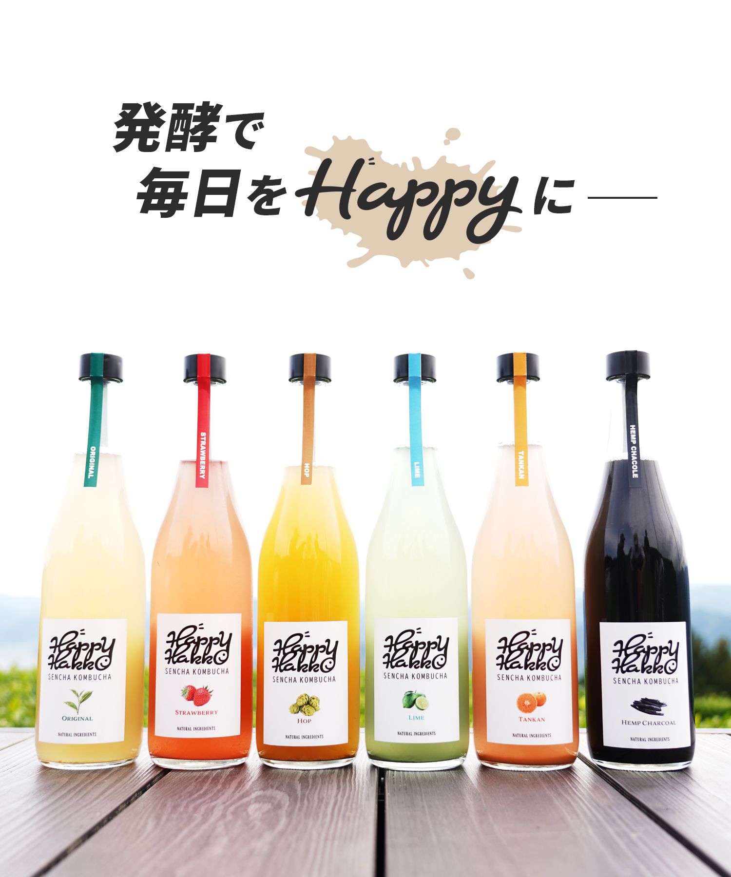 公式】Happy Hakko - 煎茶コンブチャ