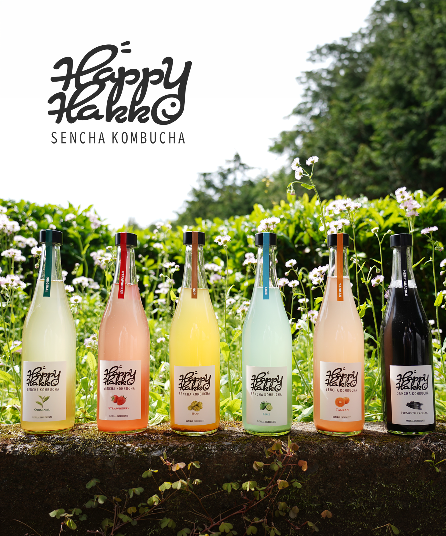 ♡Happyコンブチャあります様ご確認♡ 公式】Happy Hakko - 煎茶コンブチャ
