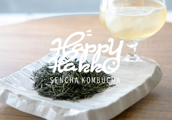煎茶コンブチャ（Kombucha）-[Happy Hakko]