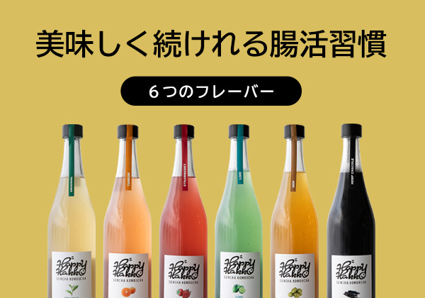 煎茶コンブチャ（Kombucha）-[Happy Hakko]