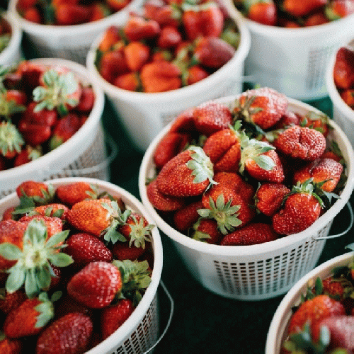 ハッピー発酵　ストロベリー