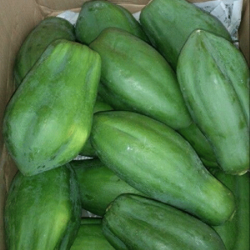 ハッピー発酵　ヘンプチャコール