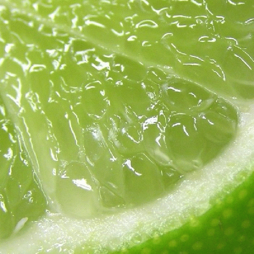 ハッピー発酵　ライム