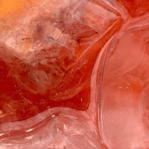 ハッピー発酵　たんかん